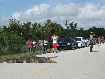 Everglades National Park 20151229-7