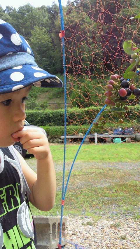 2012081514410000.jpg
