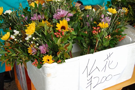 s-DSC_0390.jpg