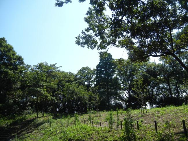 DSCN5930.JPG