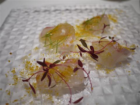 P1140258.jpg