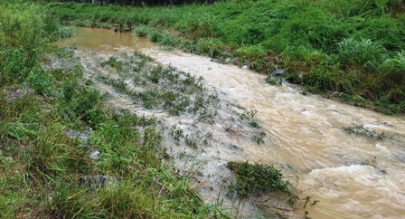 20130714 running under rainy sky in Seoul 3.jpg