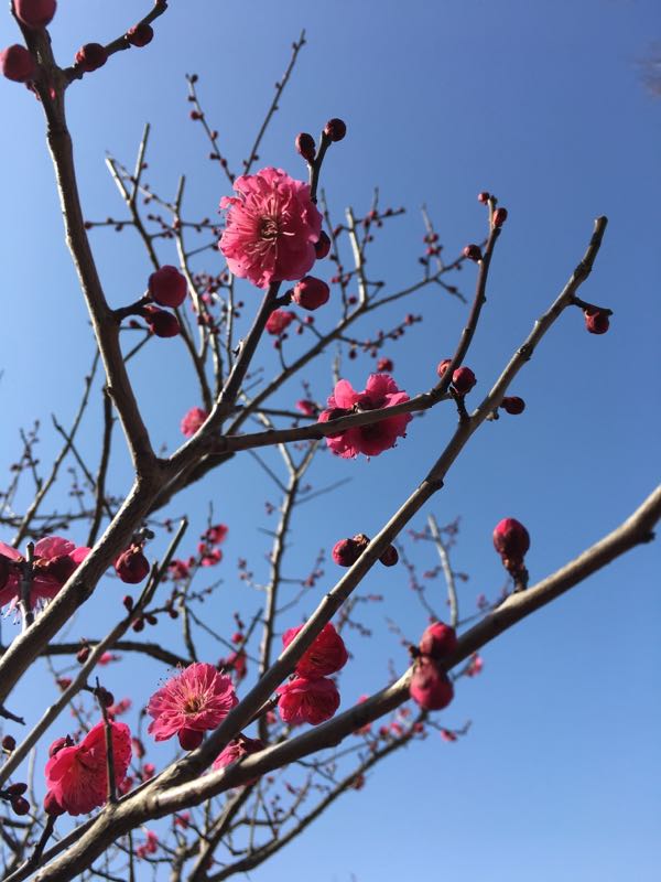 rblog-20180214120254-02.jpg