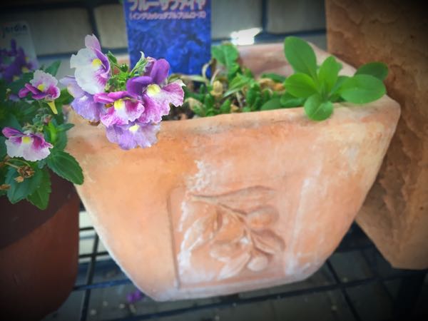 rblog-20160225162138-03.jpg