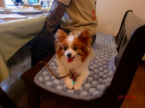 2012年7月マリィちゃんに会った最後の日