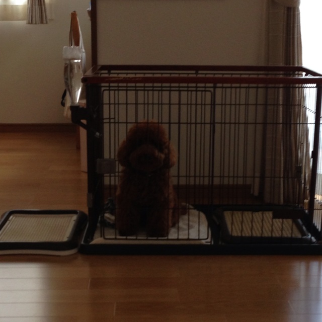 rblog-20130531115904-00.jpg