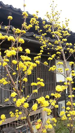 20130414_100144.jpg