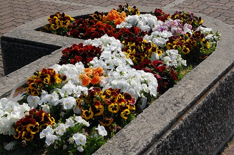 s-DSC_0076.jpg