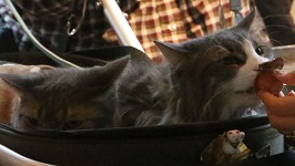 IMG_9074-20.jpg