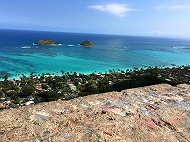lani3