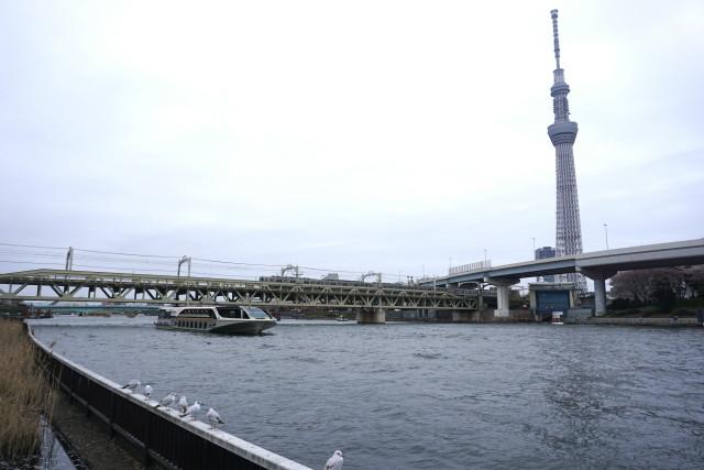 春のうららの隅田川♪東武 スカイツリー3