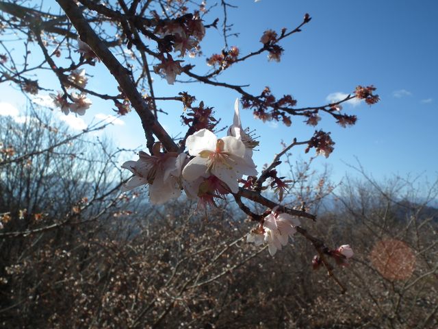 DSCF2120.JPG