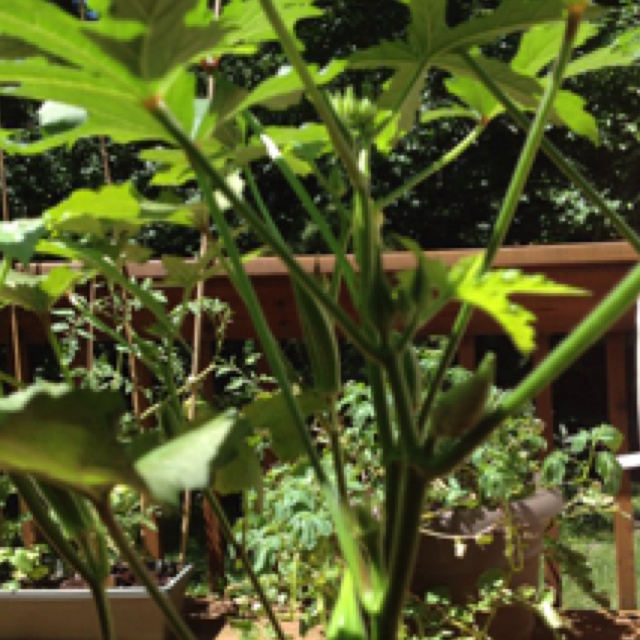 rblog-20130804161007-03.jpg