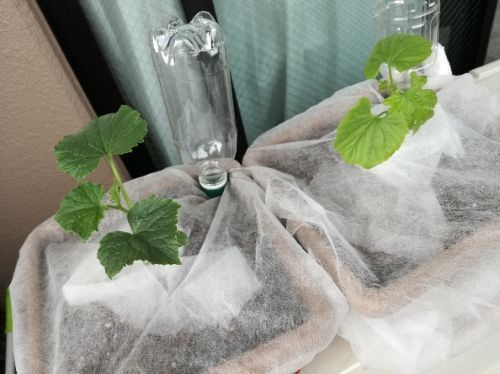 rblog-20170422000113-00.jpg