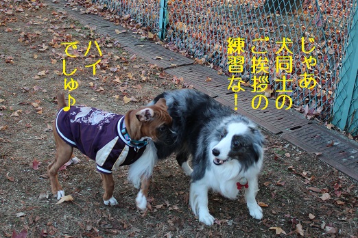 ご挨拶