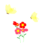 butflower.gif