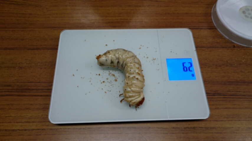 20151102_144710.jpg