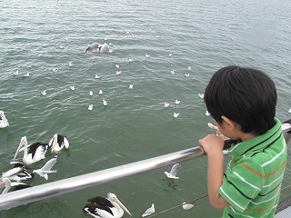 IMG_5294.jpg
