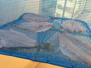 161022クロムツの干物
