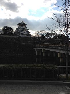 IMG_0229.JPG (2)a.jpg