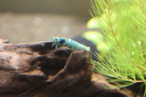 2015072403.JPG