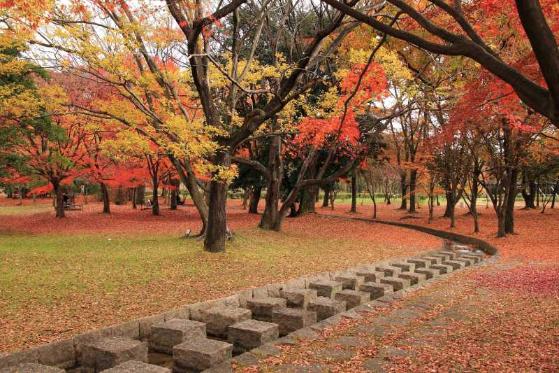 万博記念公園_003.jpg