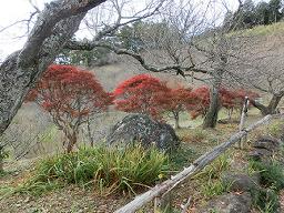 埼玉県秩父郡長瀞町にある長瀞石畳と宝登山神社（28／43）長瀞宝登山ロープウェイ宝登山麓駅 | どこへ行こうかMyブログ - 楽天ブログ