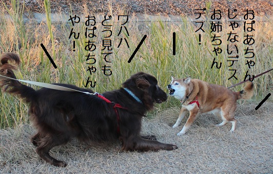 傷に塩