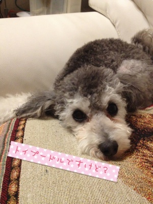 20121024b.JPG