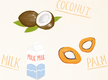 about_mct_coconut_oil.png