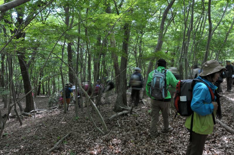 第11回醍醐山一斉登山 下山編 | 醍醐山と下部（しもべ）温泉 - 楽天ブログ