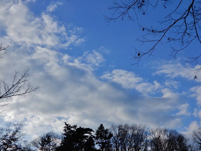空6