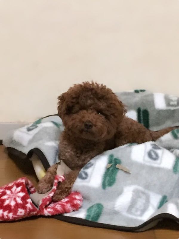 rblog-20181207182214-01.jpg