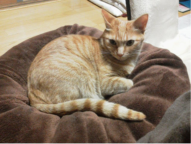 まる