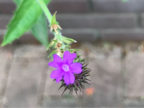 rblog-20180628171900-00.jpg