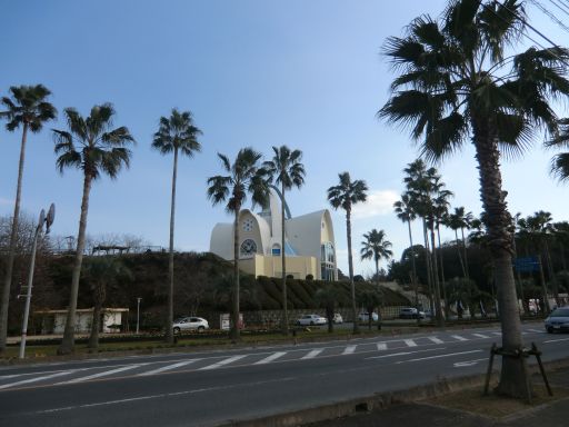 CIMG5230_512.jpg