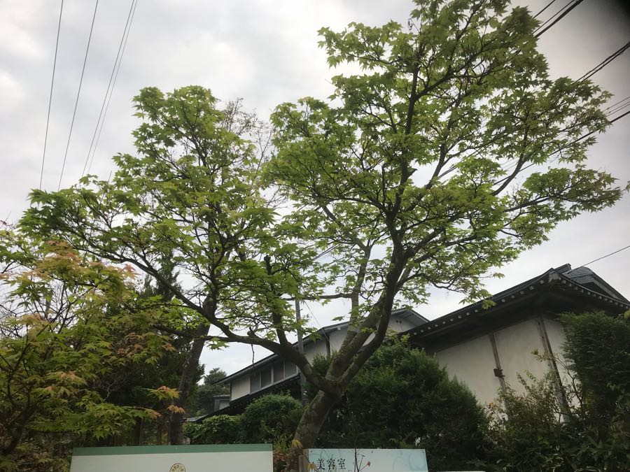 rblog-20180924074046-03.jpg