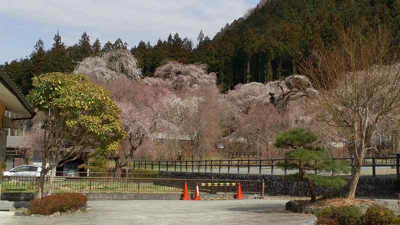 状況。