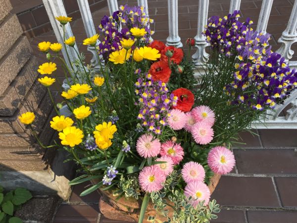 rblog-20180408220630-01.jpg