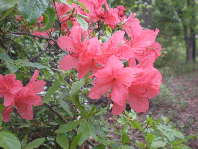 DSCN0834.JPG