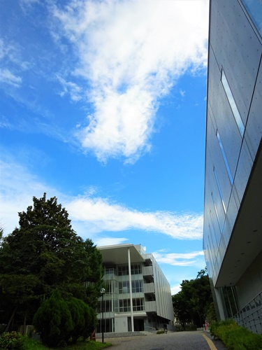 DSC00771.JPG