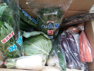 九州野菜セット