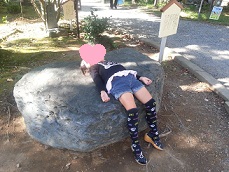光り石！