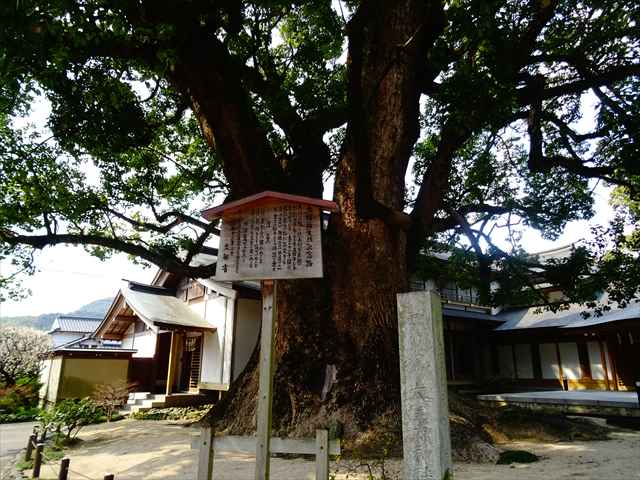 DSC03207_R.JPG