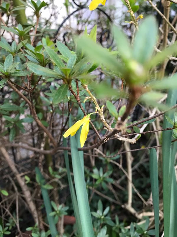 rblog-20190324174434-01.jpg