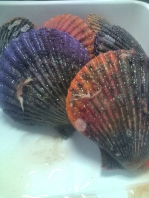 20120520094750.jpg