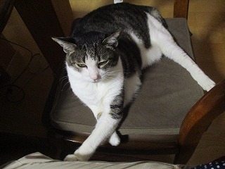 IMG_9925ss.jpg