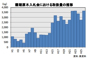 珊瑚原木入札取り扱い量推移