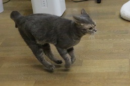 5DA_4412-19.jpg