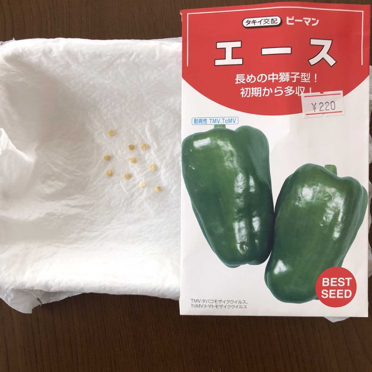 実物ーナス ちょろ松の家庭菜園奮闘記 楽天ブログ